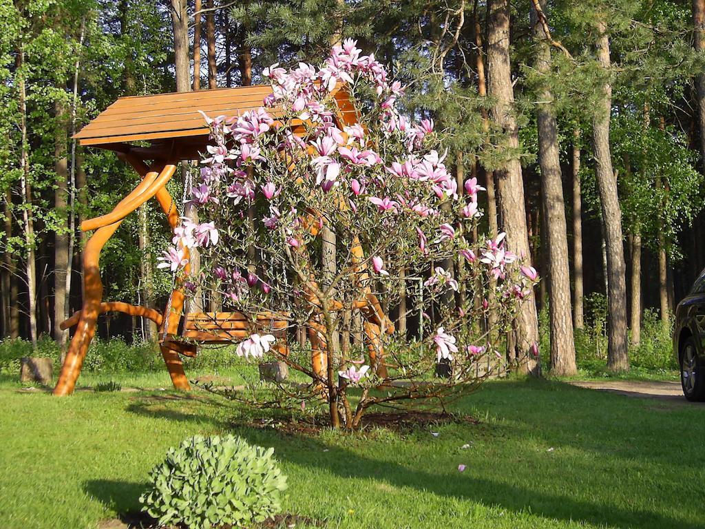 Apartamentai Šilas Druskininkai Luaran gambar